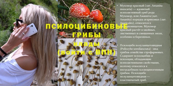 дурь Аркадак