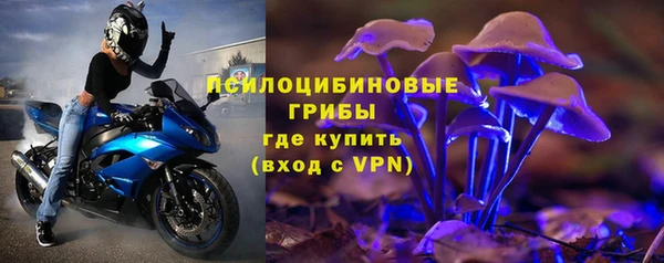 дурь Аркадак