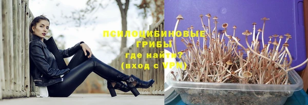 не бодяженный Армянск