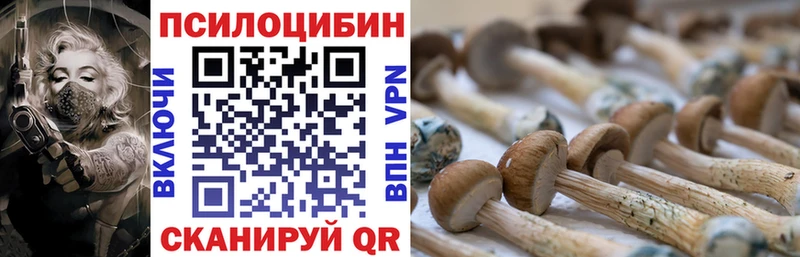 Галлюциногенные грибы Psilocybine cubensis  наркота  Старая Русса 